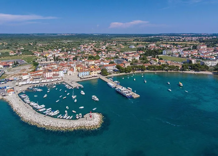 Amazing In With Wifi Gajana