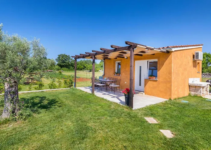 Amazing In With Wifi