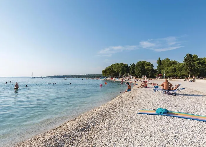 Amazing In With Wifi * Gajana